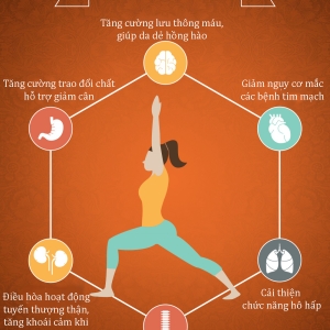 huong-dan-cac-bai-tap-yoga-giam-mo-bung-nhanh-tai-phong-tap